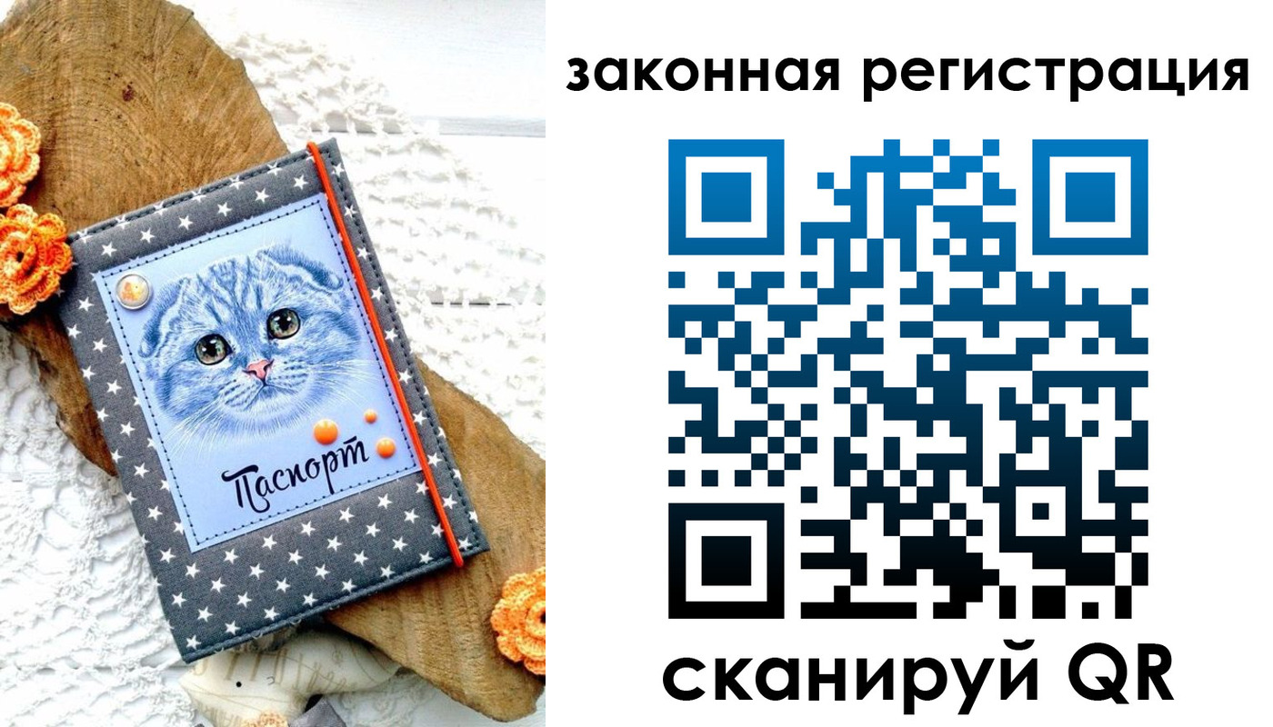 регистрация в Райчихинске